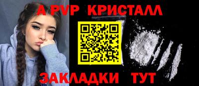 дмт Бердск