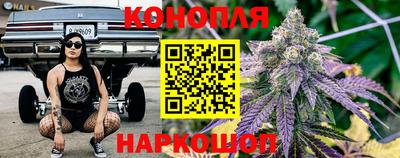 дмт Бердск